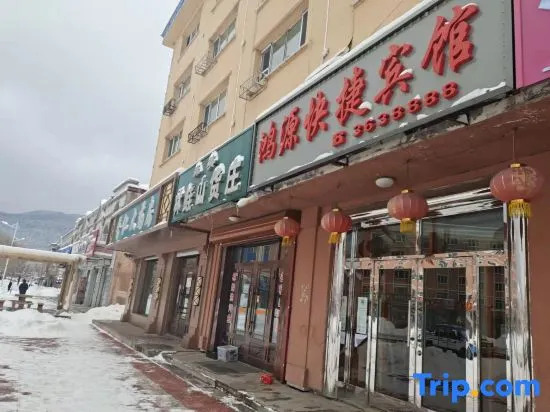 Yichun Hongyuan Express Hotel