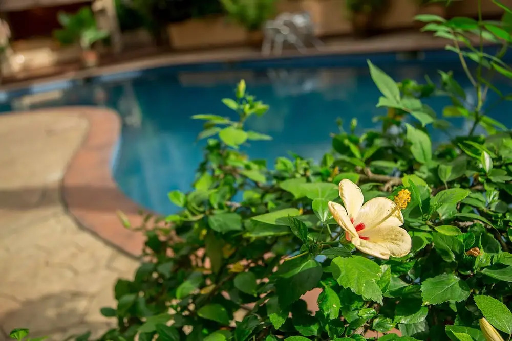 La Cour Hotels and Apartments Cooper