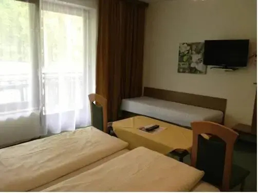 Parkhotel Zuzek