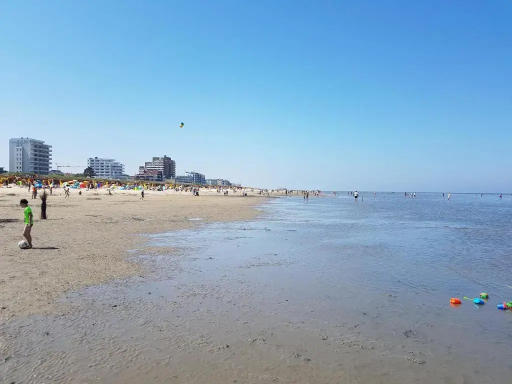 Gemütliches Apartment direkt am Strand