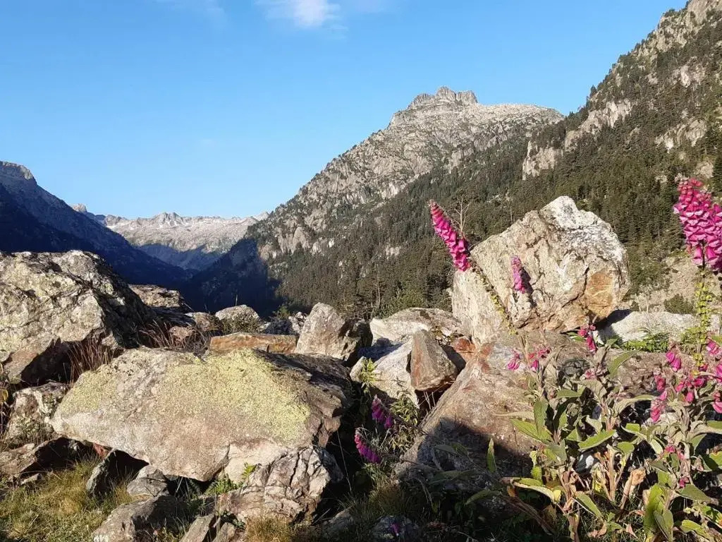 2 Pièces 4/5 Pers, Centre Cauterets - FR-1-234-145