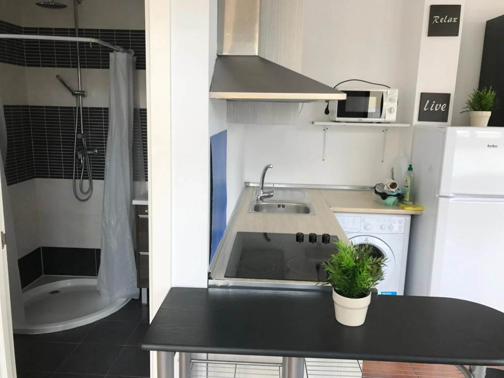Atico/Loft en Zona Céntrica V