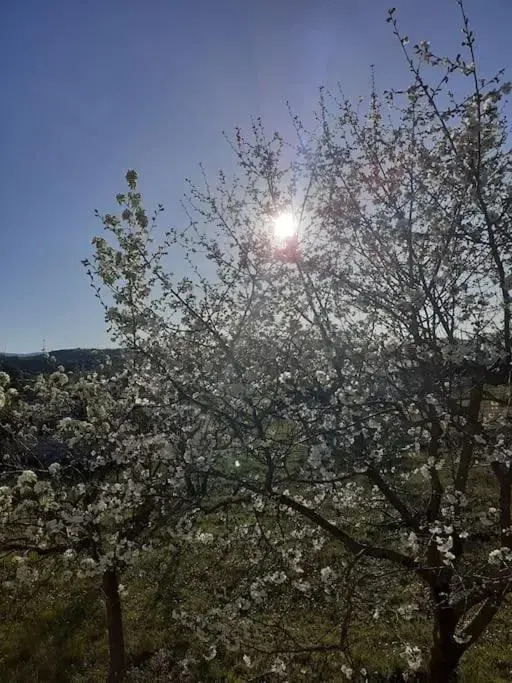 Ioannina Cozy Retreat