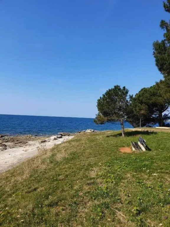 Family Bungalow Pineta