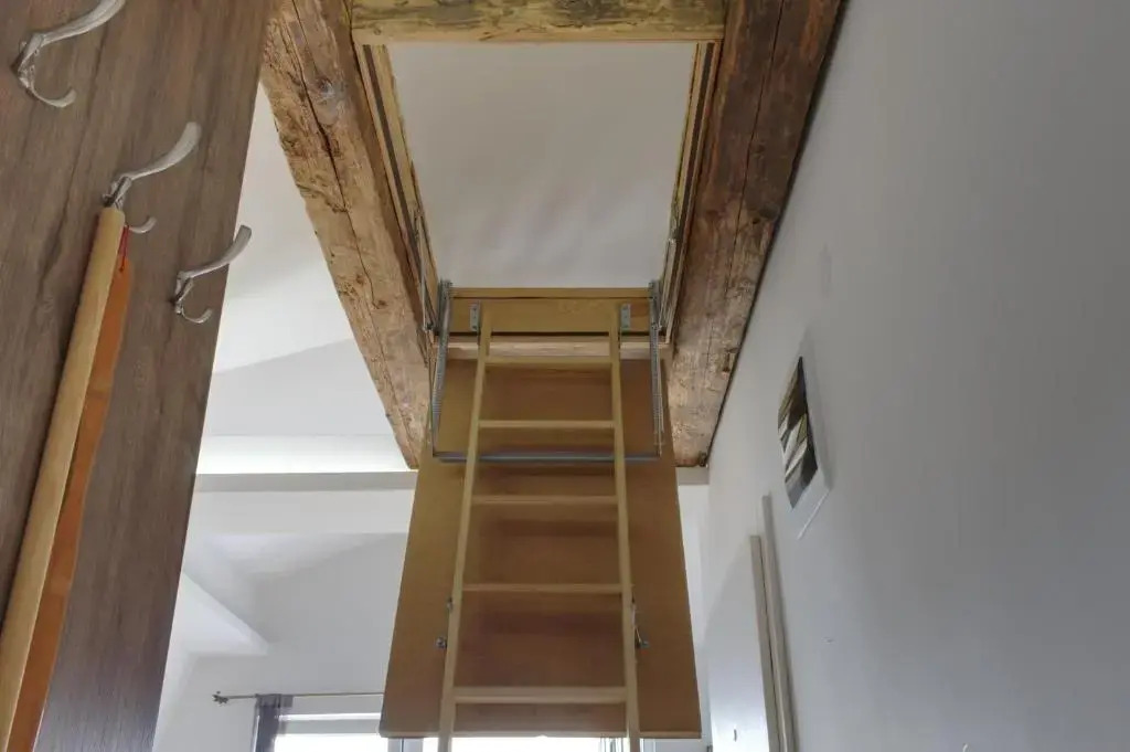 Attic 7