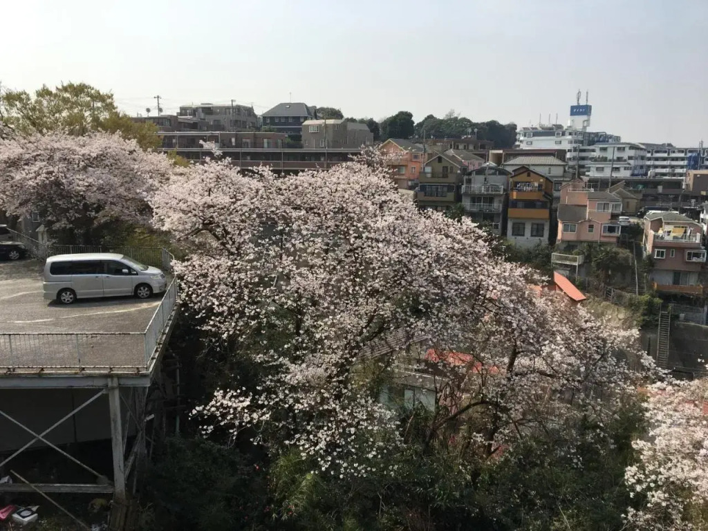 平楽園弐番館２階
