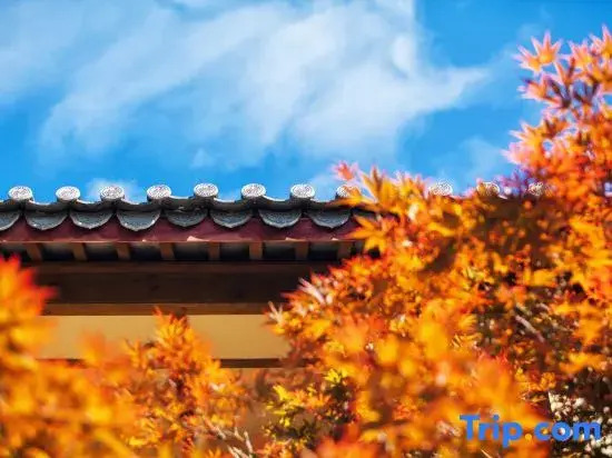 Flower court in Lijiang