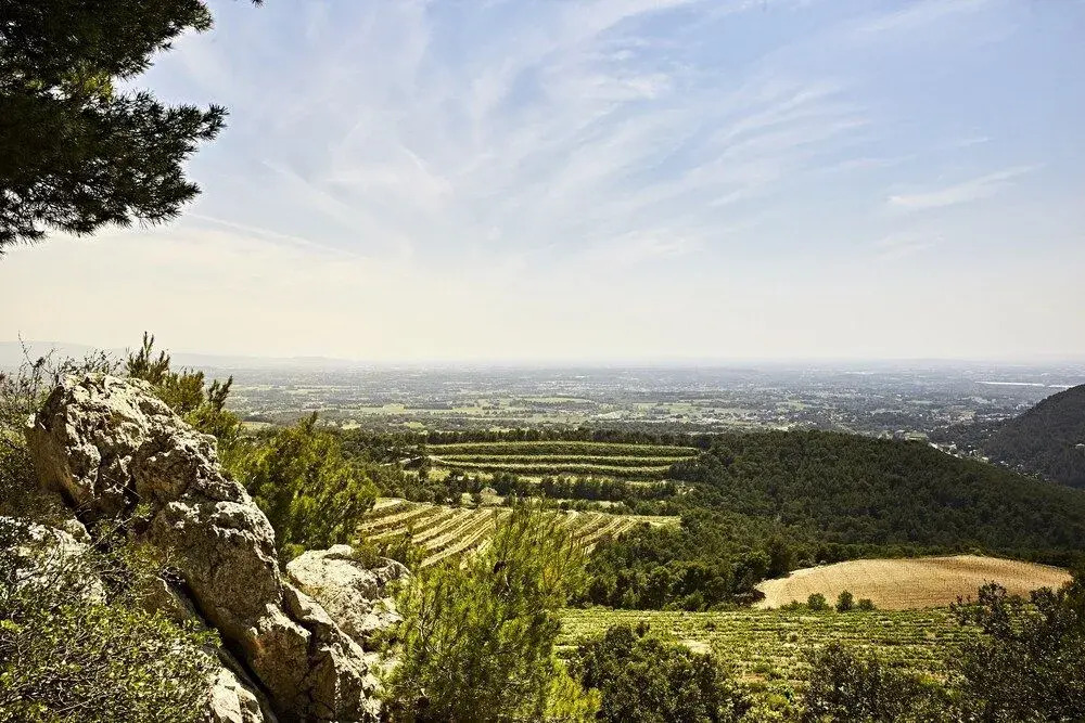 Mas De La Baume