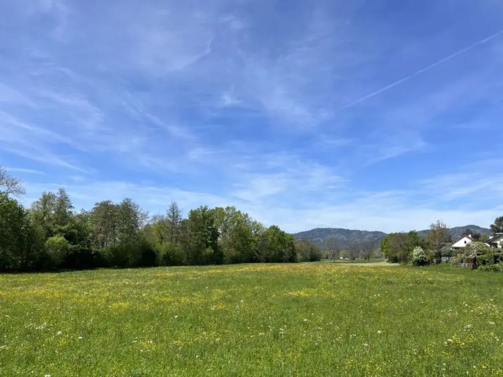Schluchsee