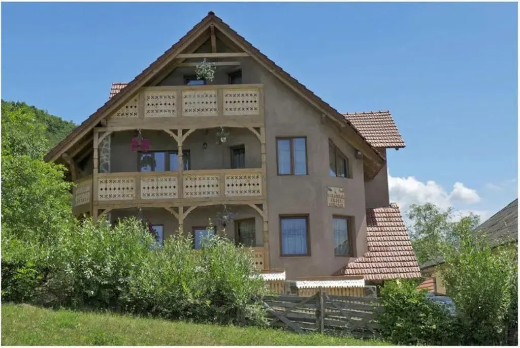 Pensiunea Valea Branzei