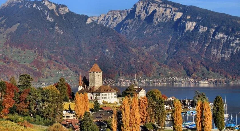 Swiss Lakeview Apartment