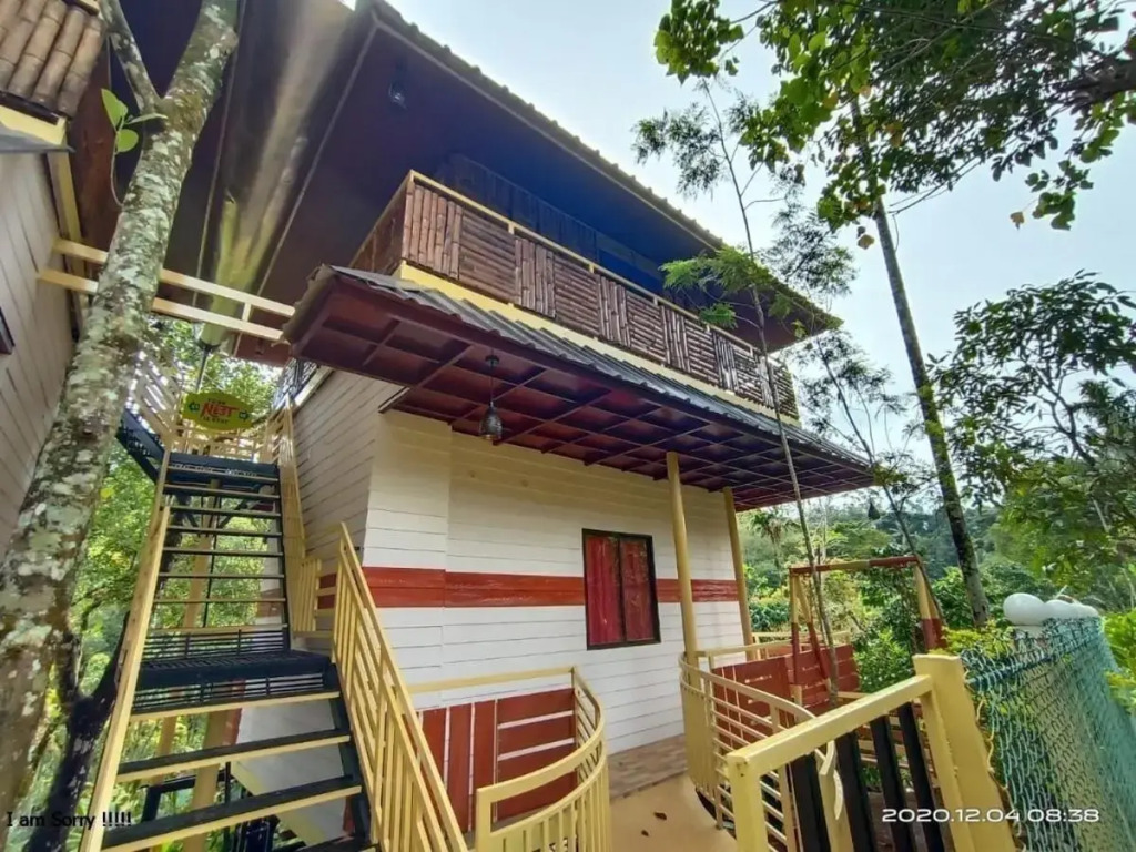 Chalona Jungle Eco Stay