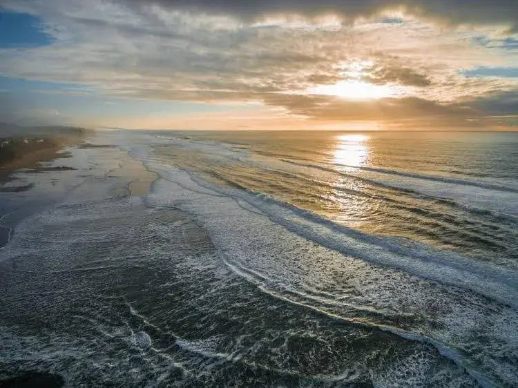 Surftides Plaza Rentals