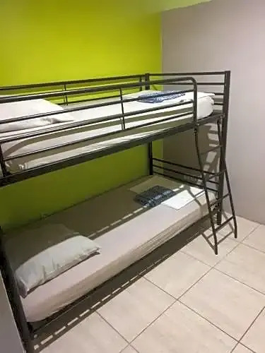 Borlamer