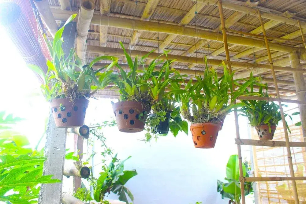 Ba's Garden Beachside Homestay