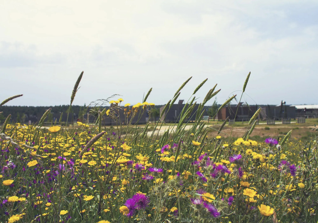 Zmar Eco Experience
