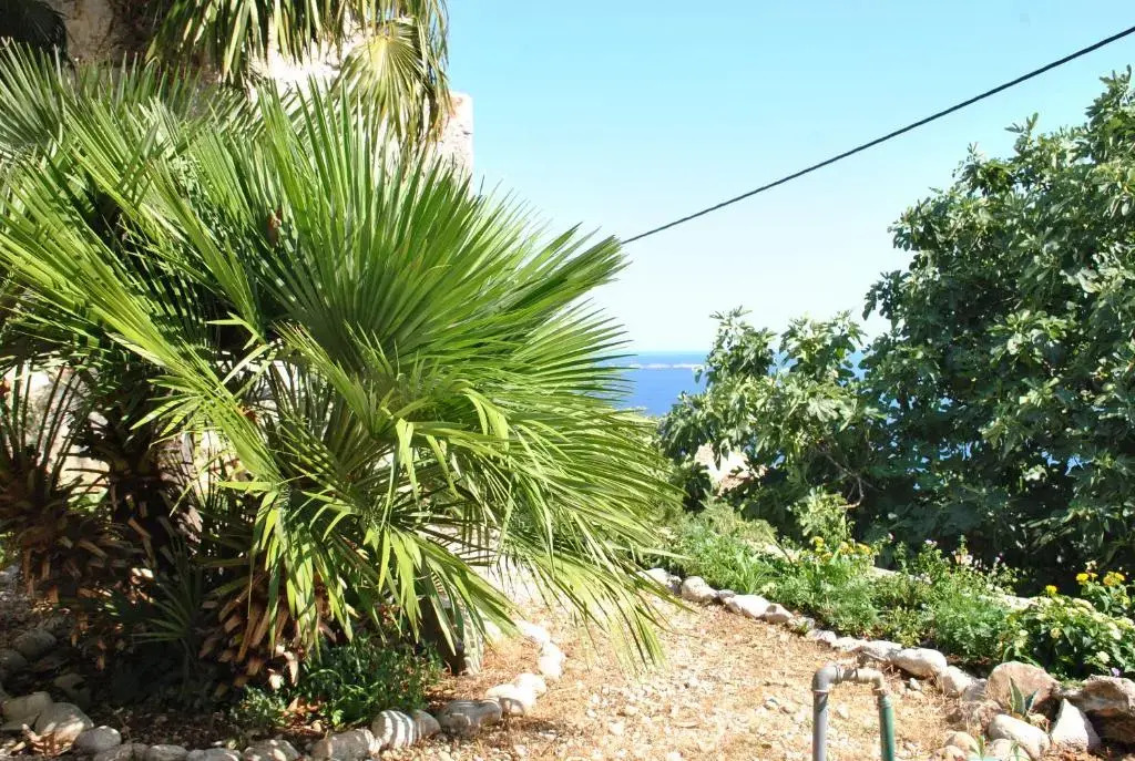Splendid View House Villa