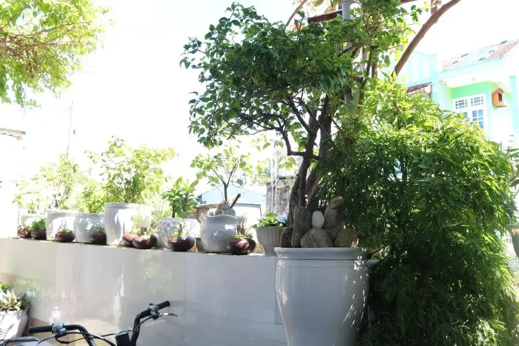 Green garden house