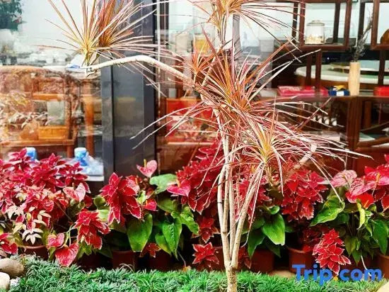 Weizhou Island Yueyue Yard Homestay