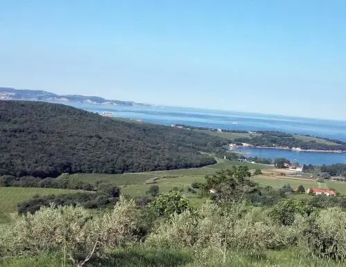 Na kmetiji s konji - Pogelšek