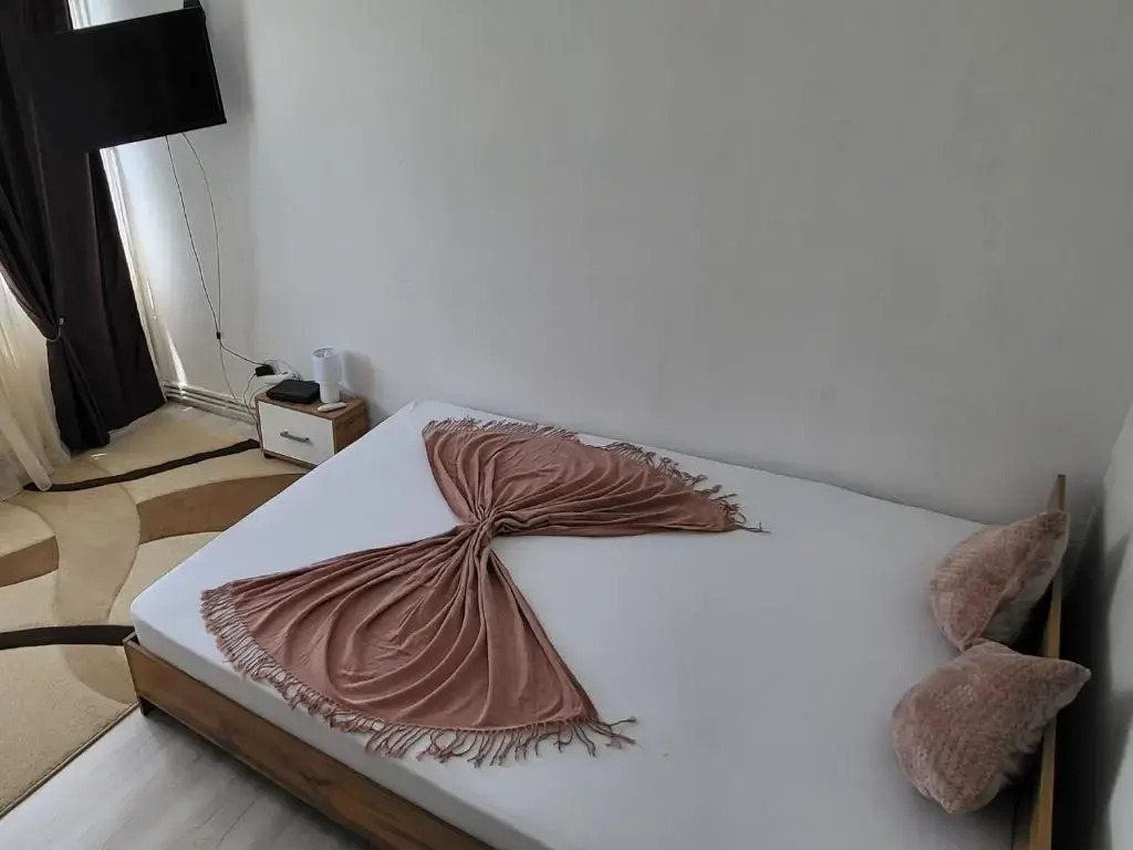 Apartament in regim hotelier Deva