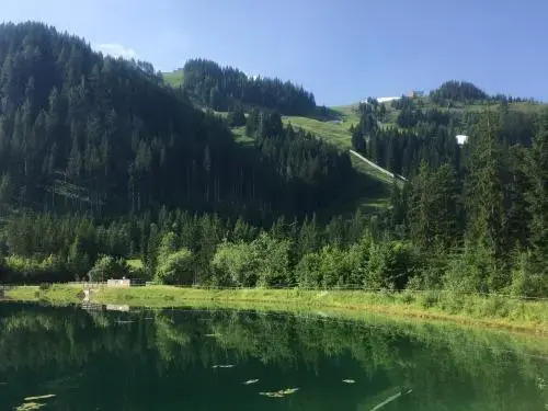 Pensiom Alpenblick