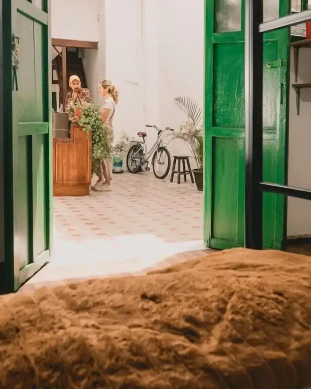 Wild Monkey Hostel
