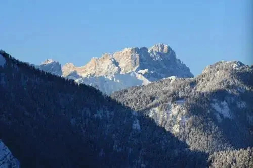 Le Maier