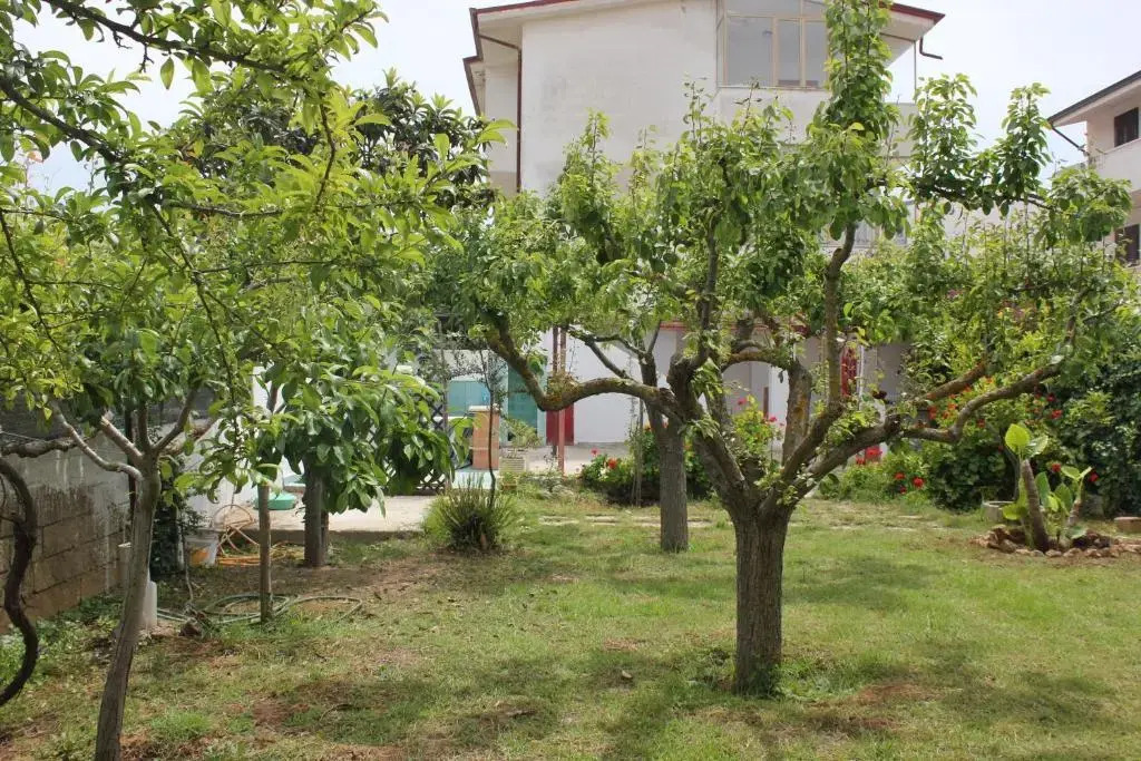 Casa vacanza Palazzo Cozza