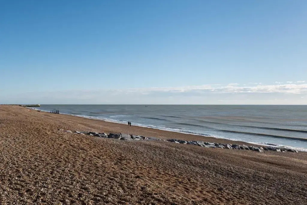 Beach Comber