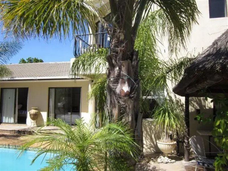 3 Palms Cape B & B