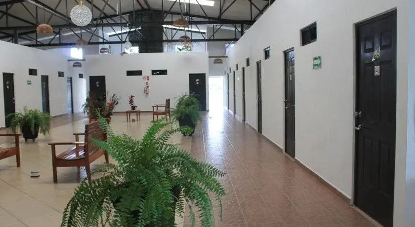 Real Primaveras Campestre