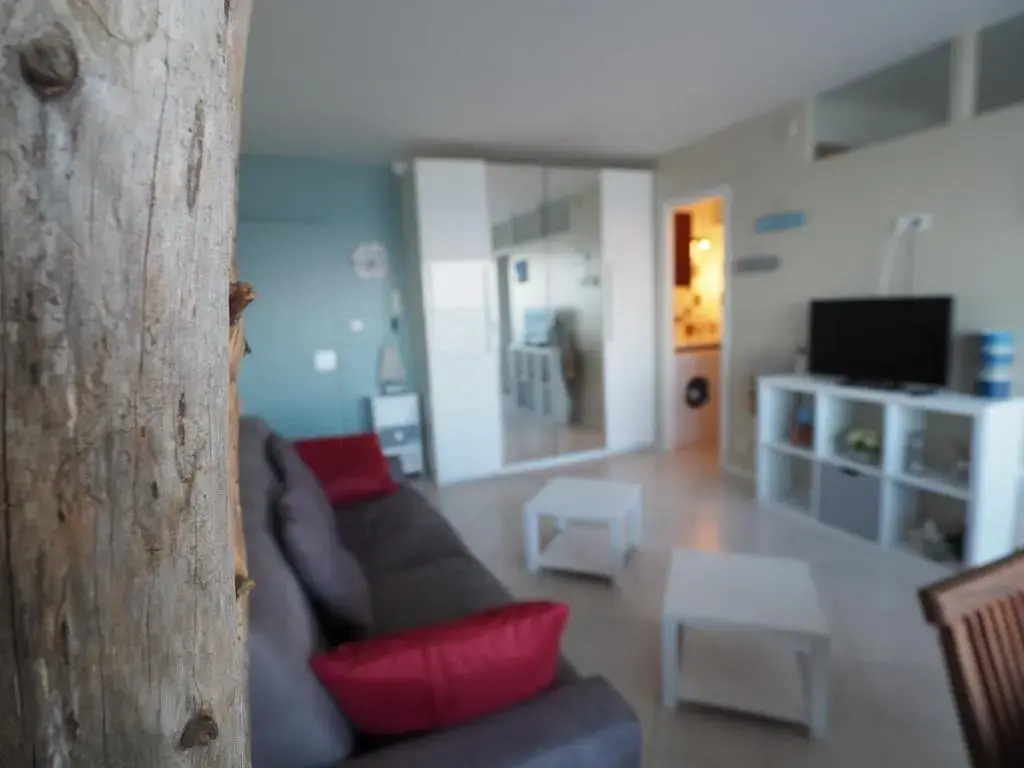 Appartement Arcachon, 2 Pièces, 4 Personnes - Fr-1-474-11