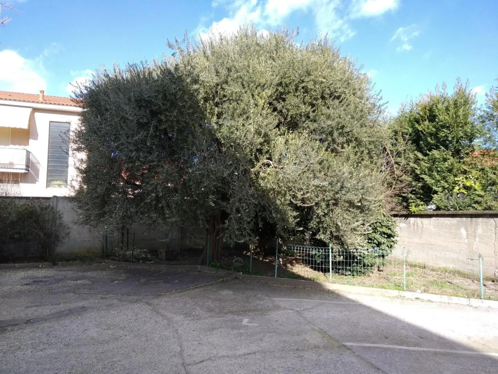 appartamento ulivo