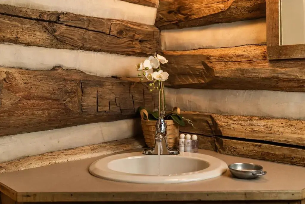 The Mast Farm Inn