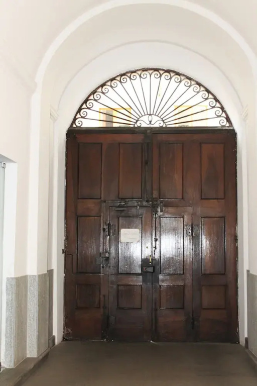 Rapanus Suites