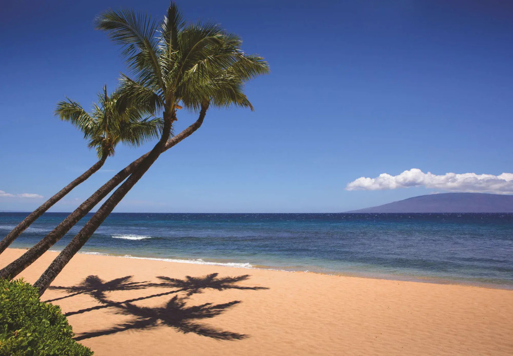 Marriotts Maui Ocean Club - Lahaina & Napili Towers