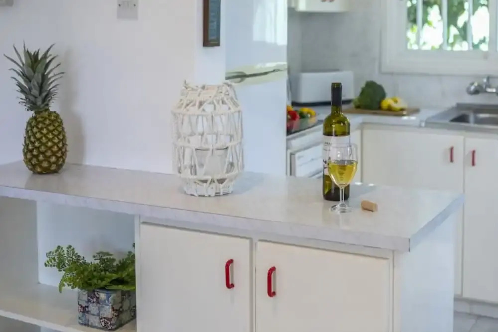 Villa for Rent in Protaras 1106