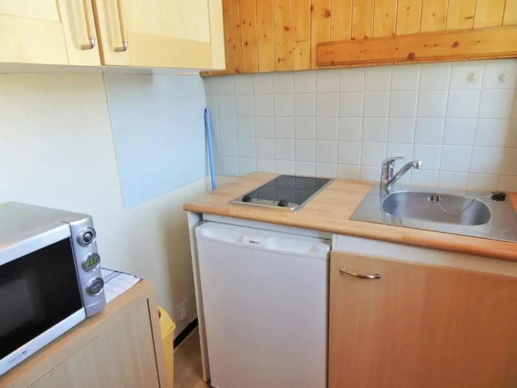 Appartement Les Deux Alpes, 1 pièce, 2 personnes - FR-1-516-39