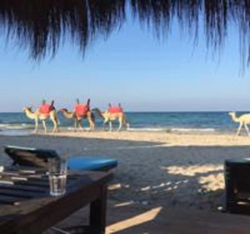 Hotel Djerba Orient