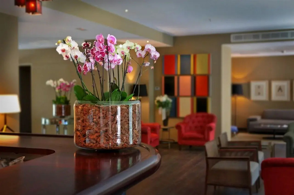 Can Alomar Hotel