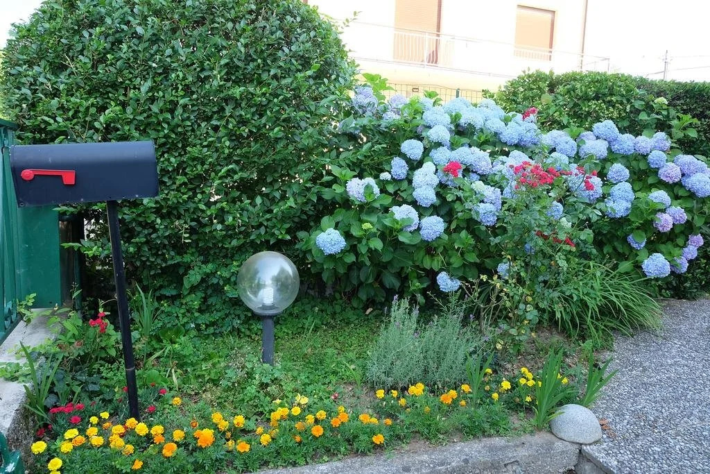 Aria di Casa B&B