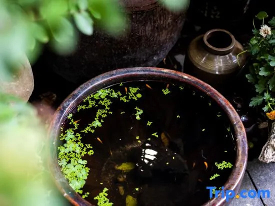 Yu Yue Mansion
