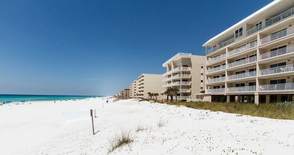 The Palms 401