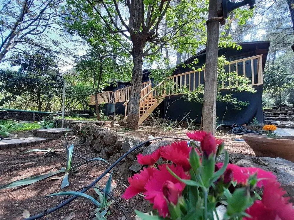 Altaris Bungalows Olympos