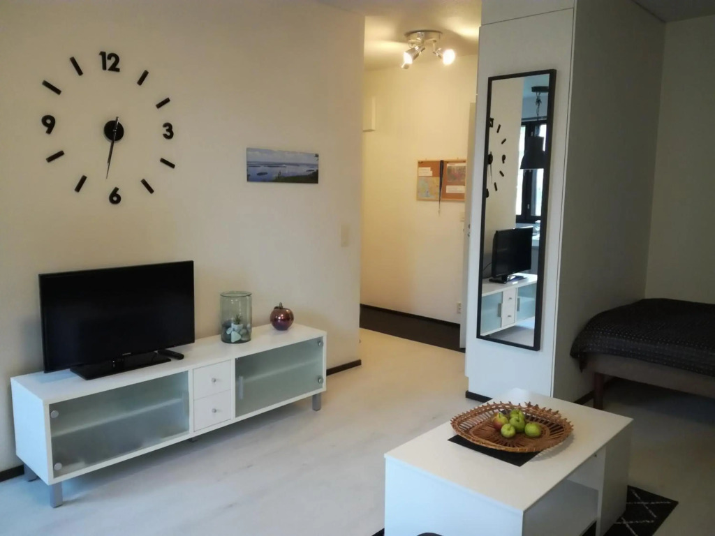 A lovely one-room apartment near the city centre.