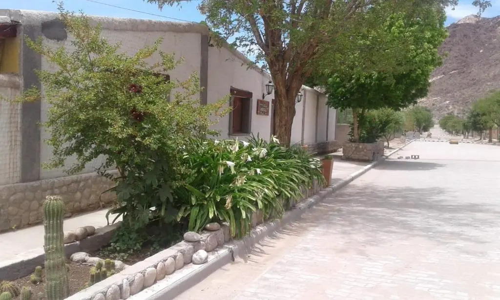 Cardones de Molinos