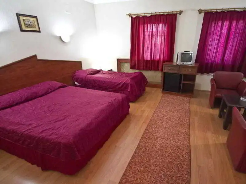 Zingaro
