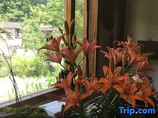 Yunwai Guesthouse