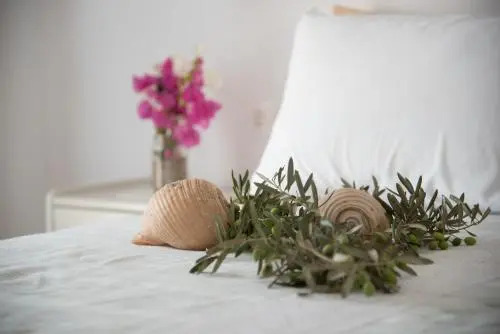 Flora & Agelos Studios - Paros